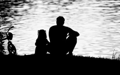 Reencontrar tudo por dentro do amor