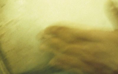 “Teoria da fronteira”, poesia de José Tolentino Mendonça