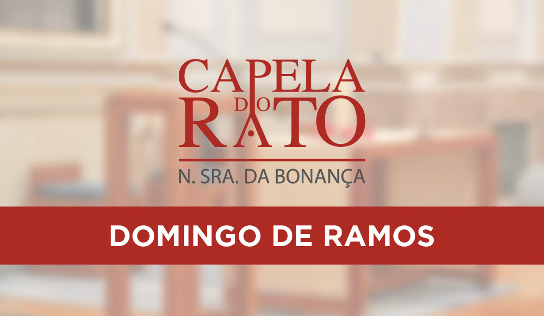 Transmissão online da Eucaristia de Domingo de Ramos