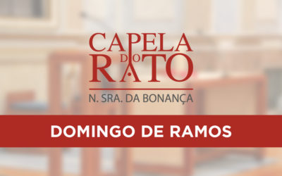 Transmissão online da Eucaristia de Domingo de Ramos