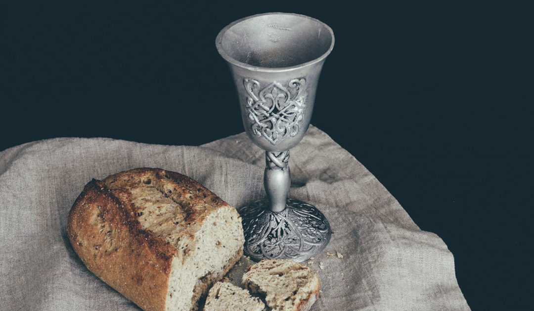 Um amor até ao fim feito serviço e dom