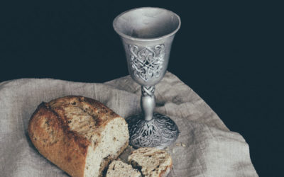 Um amor até ao fim feito serviço e dom