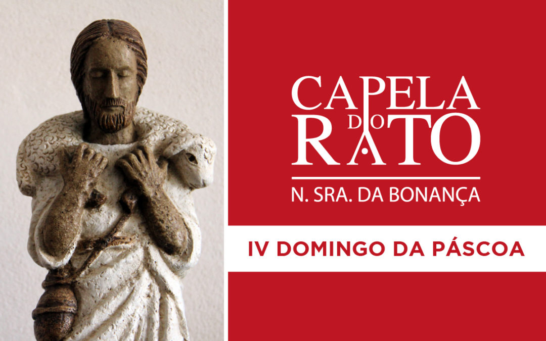 Transmissão online da Eucaristia do IV Domingo da Páscoa