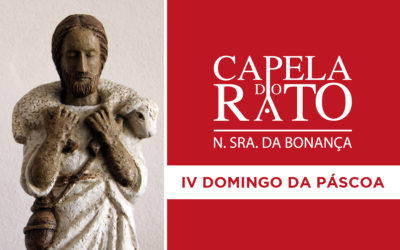 Transmissão online da Eucaristia do IV Domingo da Páscoa