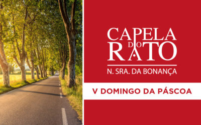 Transmissão online da Eucaristia do V Domingo da Páscoa