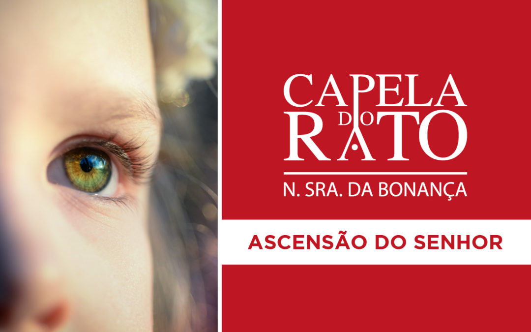 Transmissão online da Eucaristia da Solenidade da Ascensão do Senhor