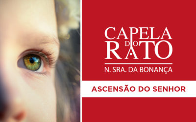 Transmissão online da Eucaristia da Solenidade da Ascensão do Senhor