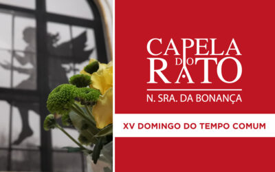 Transmissão online da Eucaristia do XV Domingo do Tempo Comum