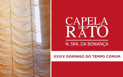 Inscrições para a Eucaristia do XXXIV Domingo do Tempo Comum