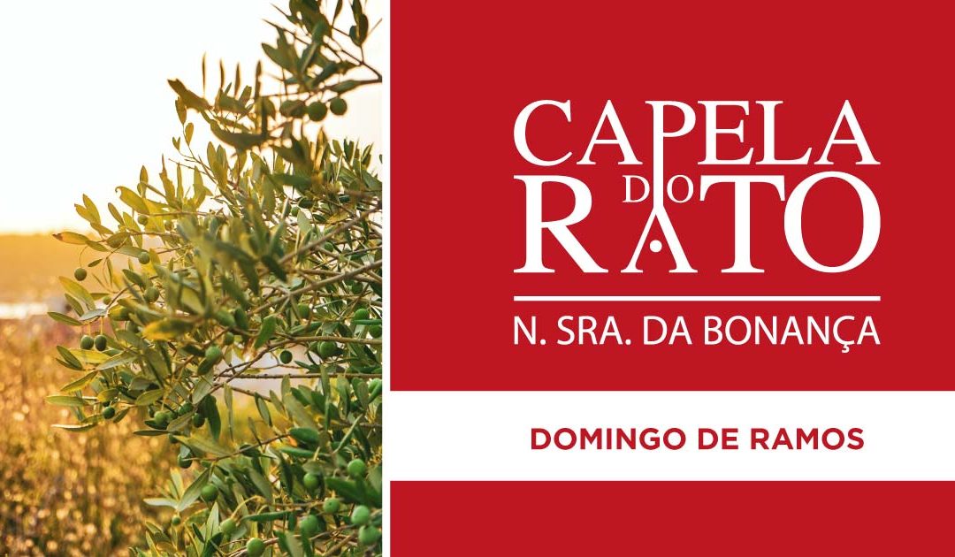 Inscrições para a Eucaristia do Domingo de Ramos