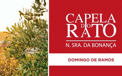 Inscrições para a Eucaristia do Domingo de Ramos