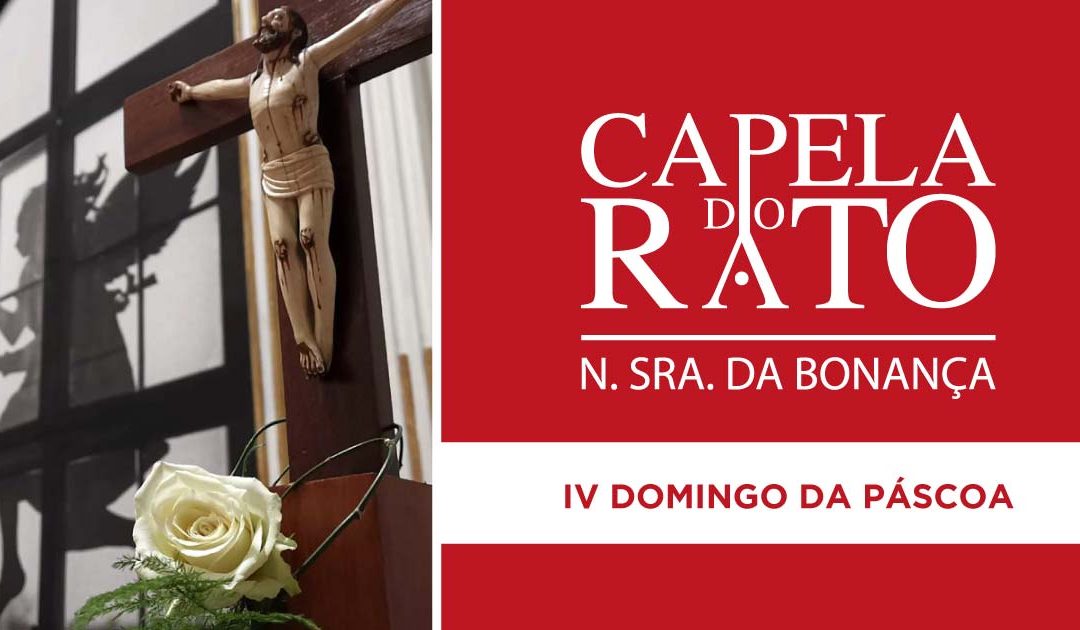 Inscrições para as Eucaristias do IV Domingo da Páscoa