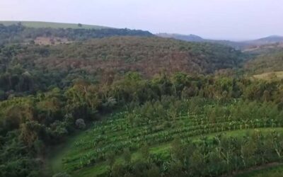 Vídeo – Em harmonia com o planeta Terra
