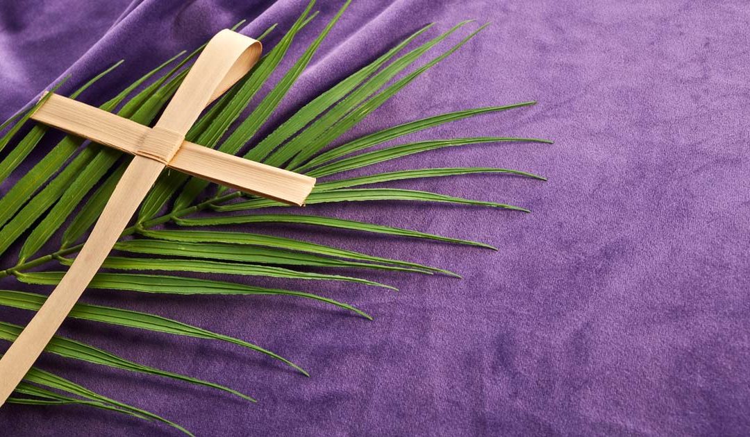 Domingo de Ramos – «Afasta de mim este cálice»