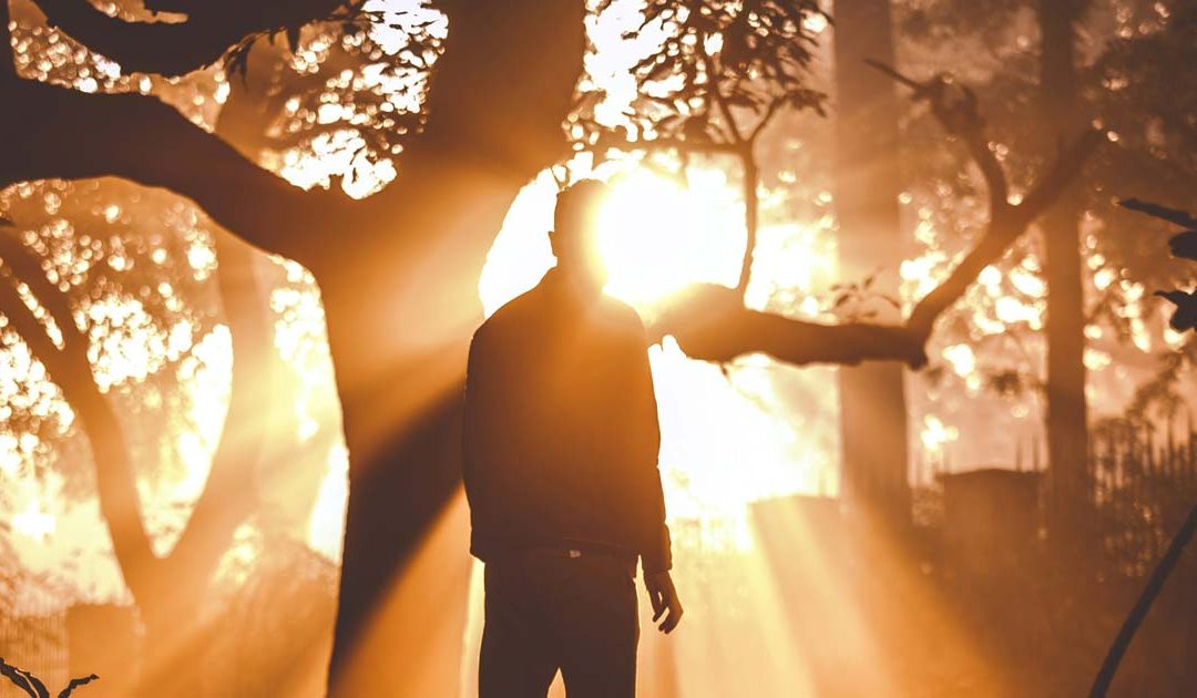 A transfiguração – beleza consoladora mas fugaz