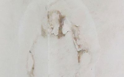 Solenidade da Imaculada Conceição da Virgem Santa Maria