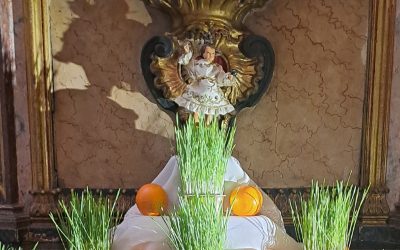 Um trono para o Menino