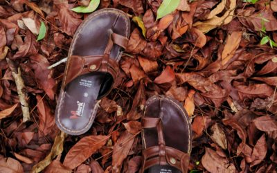 Capela do Rato, Solenidade de Santa Maria Mãe de Deus e Dia Mundial da Paz – Homilia do Cardeal Tolentino