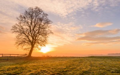 A esperança, a chama que faz viver